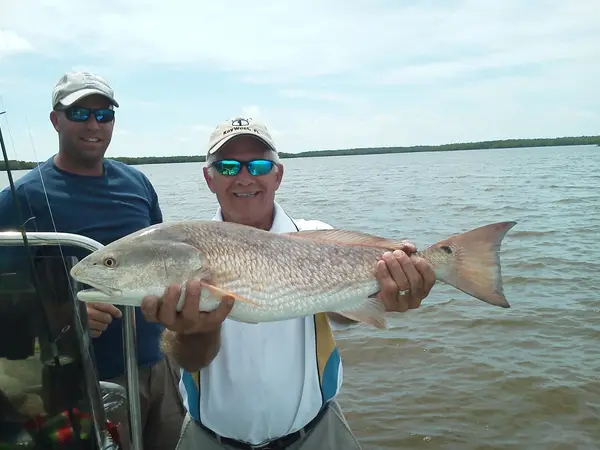 Get Some Charters