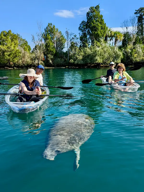 Get Up And Go Kayaking - Crystal River, Crystal River, FL