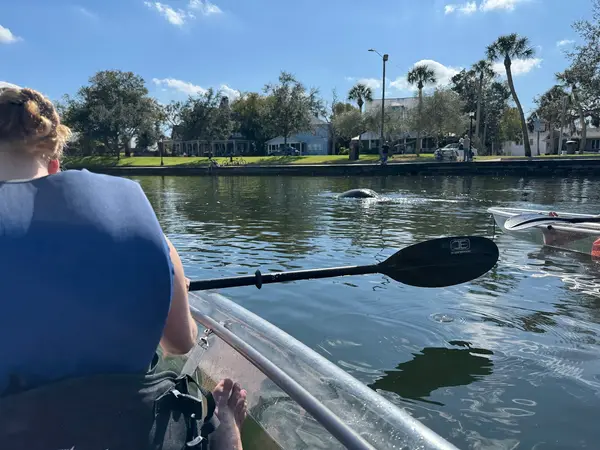 Get Up and Go Kayaking Tarpon Springs, photo 1