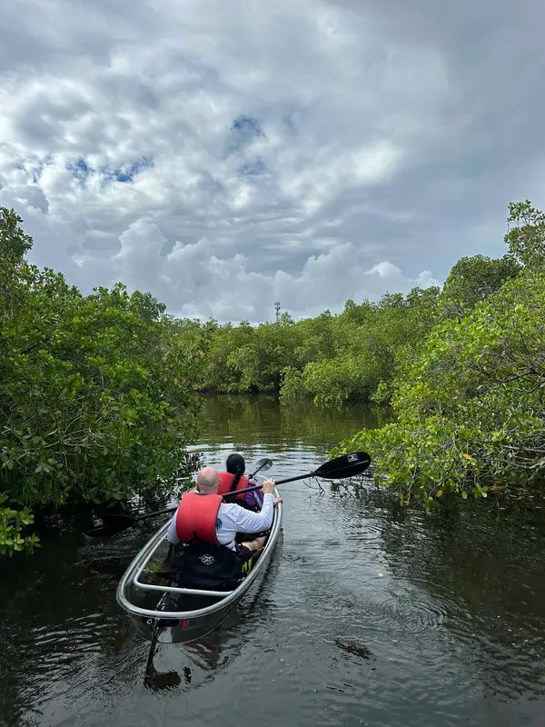 Get Up and Go Kayaking Tarpon Springs, photo 2
