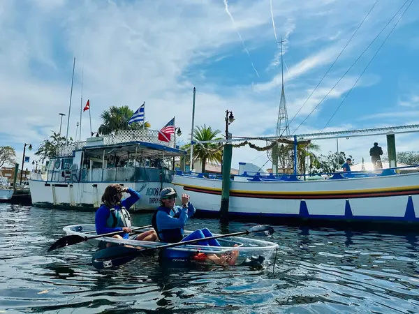 Get Up and Go Kayaking Tarpon Springs, photo 3