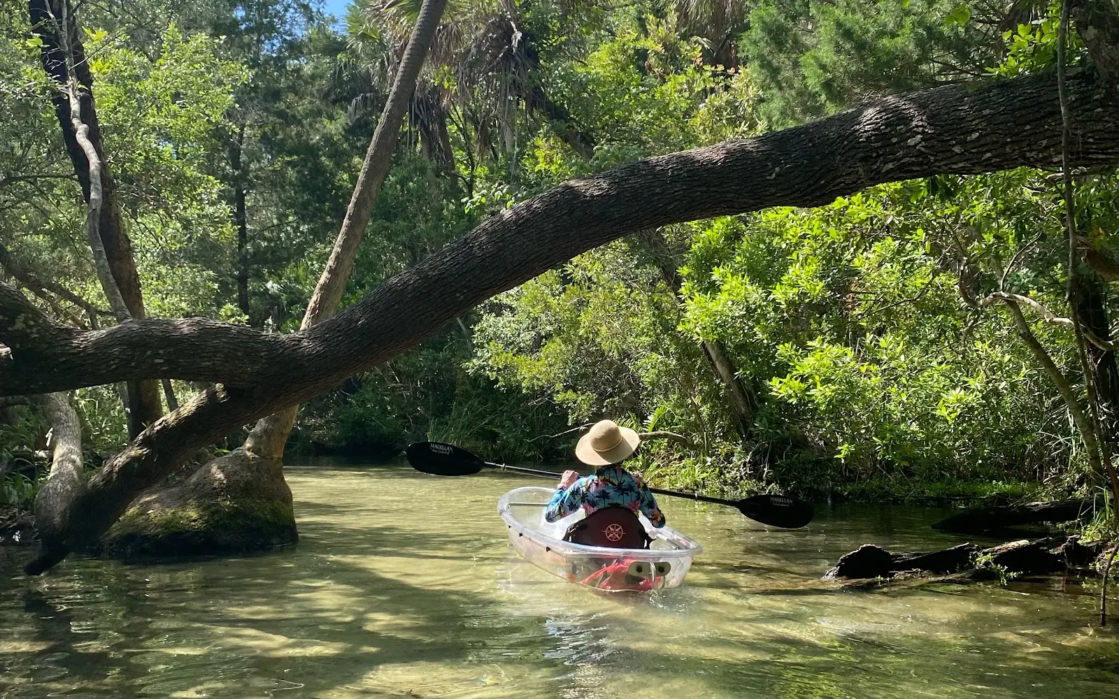 Get Up and Go Kayaking The Chaz