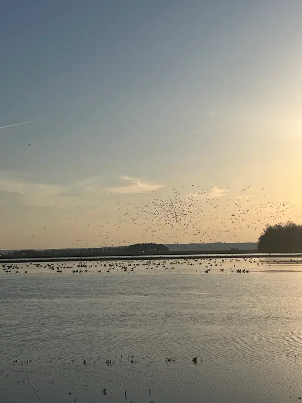 GETM Waterfowl Adventures LLC.
