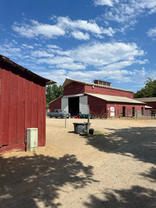 Gibson Ranch Equestrian Center, photo 3