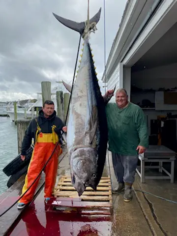 Gina Ann Fishing Charters of Montauk, Montauk, NY