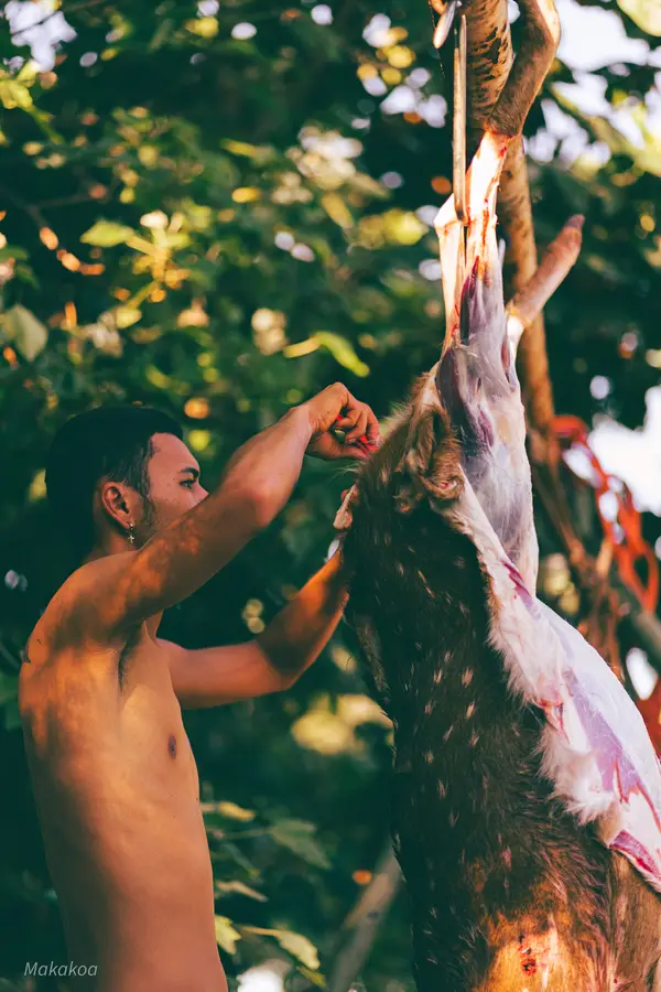 Go Hawaii Outfitters