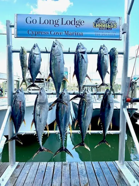 Go Long Charters, Venice, LA