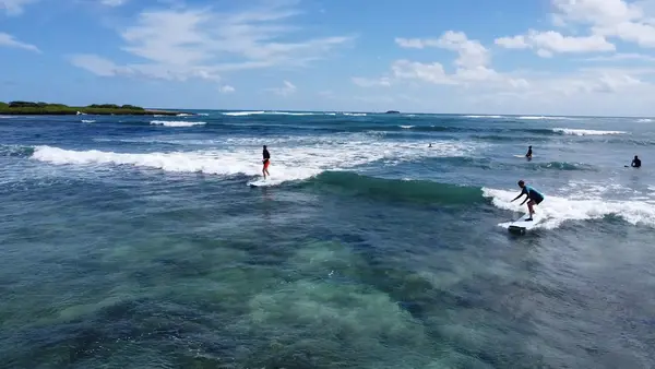 Go Nuts Hawaii Surf Rentals & Surf Lessons, photo 1