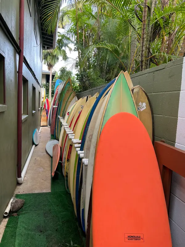 Go Nuts Hawaii Surf Rentals & Surf Lessons, photo 2