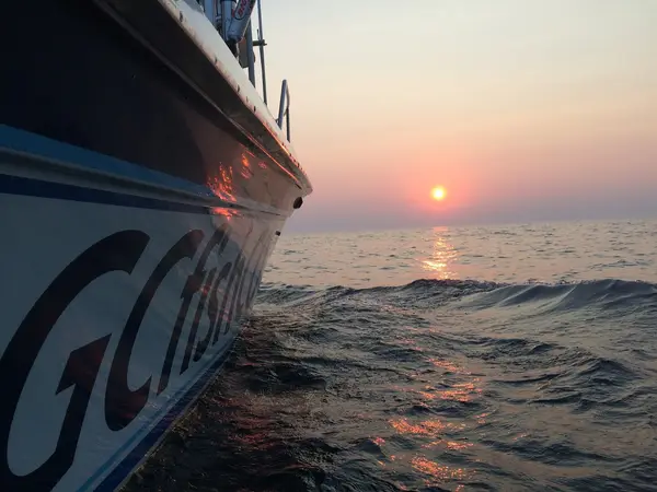Gold Coast Fishing Company, St Joseph, MI