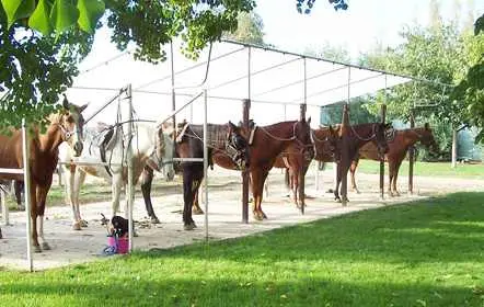 Gold Country Equestrian Center, photo 1