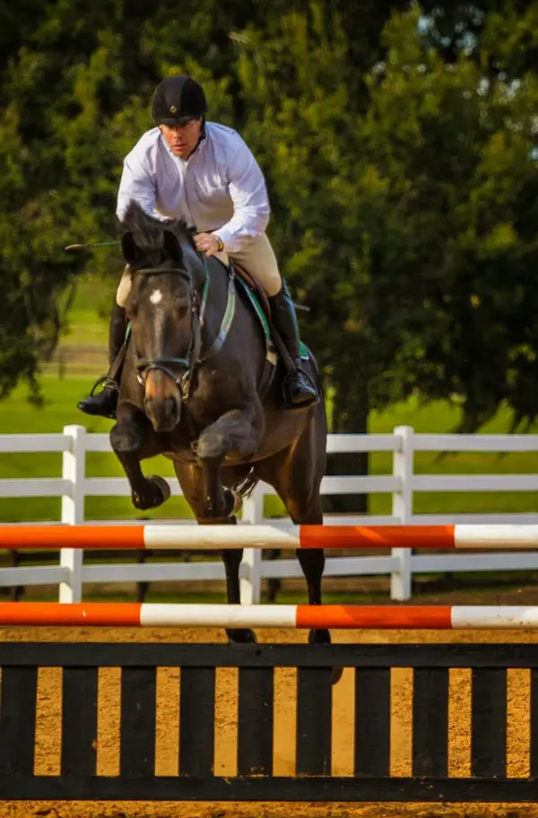 Golden Ocala Equestrian Center, photo 2