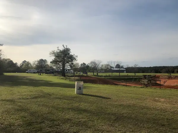 Golden Pines MX