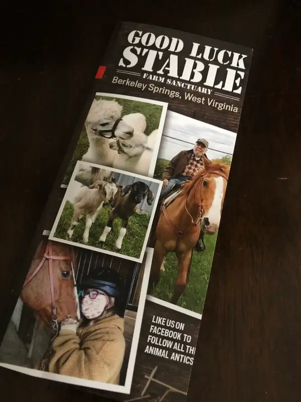 Good Luck Stable