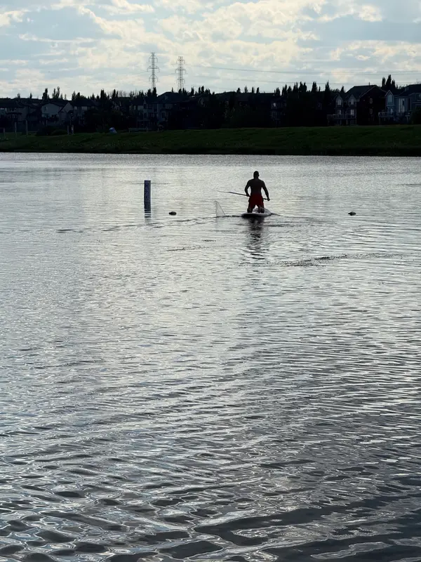 GoWild Paddle Board Rentals, photo 3