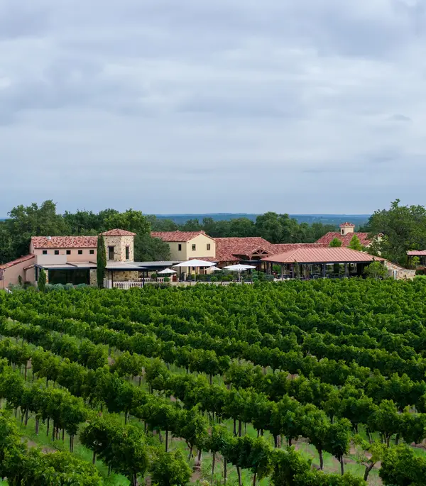 Grape Creek Vineyards, Fredericksburg, TX