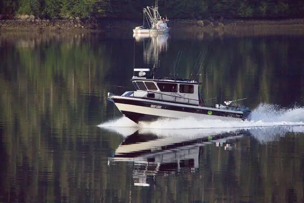 Gray Light Sportfishing