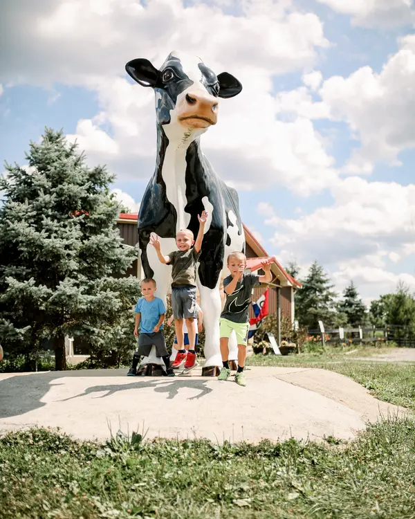 Great Country Farms, Bluemont, VA