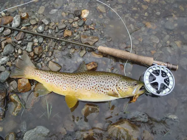 Great Drake Angling & Outdoor Adventures, LLC