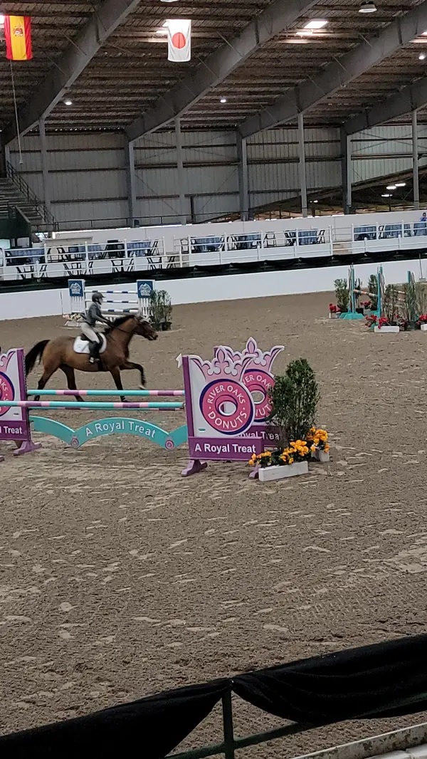 Great Southwest Equestrian Center, photo 2