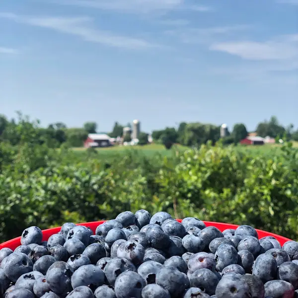 Greig Farm, Red Hook, NY