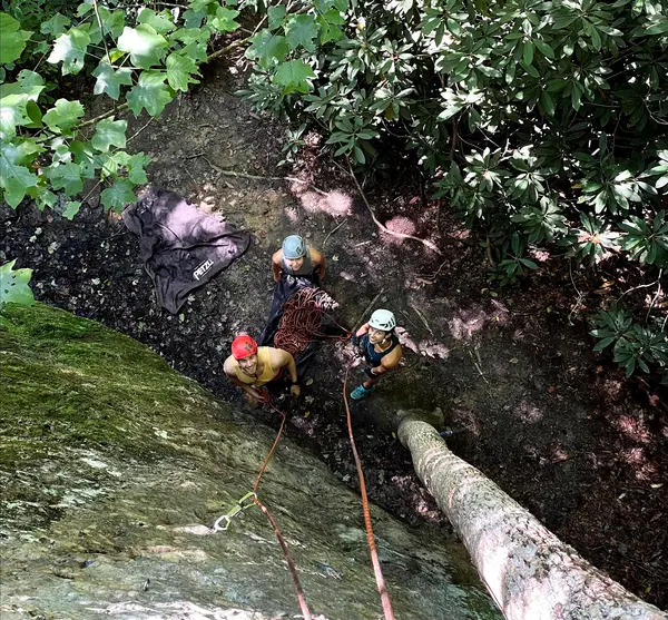 Grippi Guides, Rogers, KY