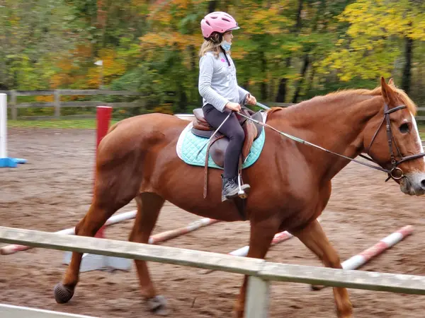 Guilford Riding School