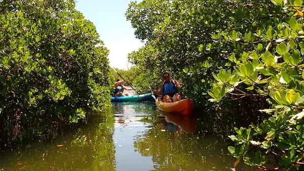 Gulf Coast Kayak, photo 1