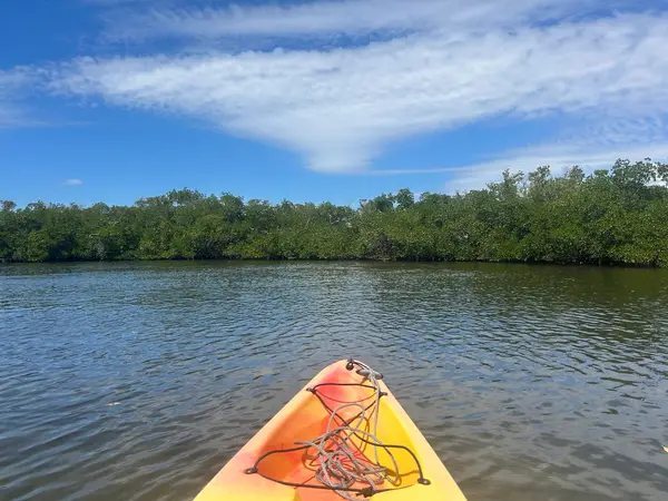 Gulf Coast Kayak, photo 3