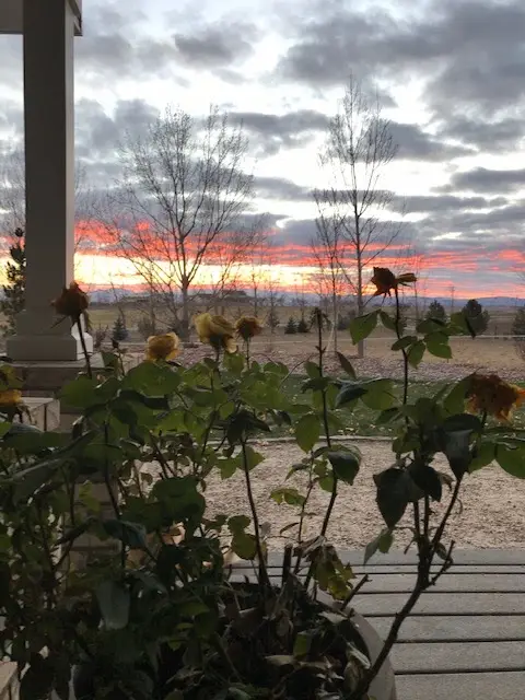 Gutierrez Family Farms, Nampa, ID