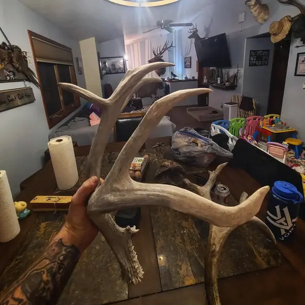 Gypsum Creek Outfitters
