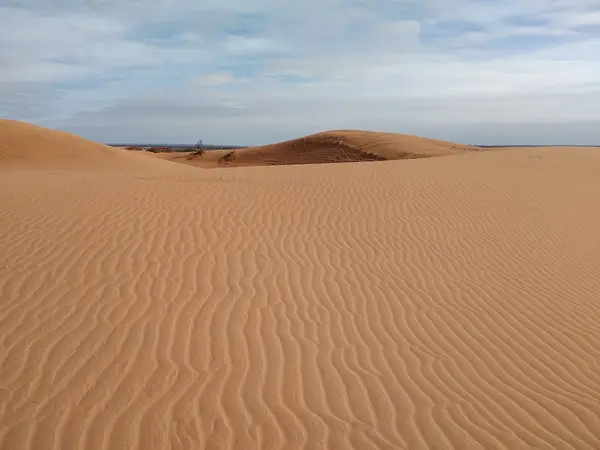 Hackberry Lake Dunes Complex