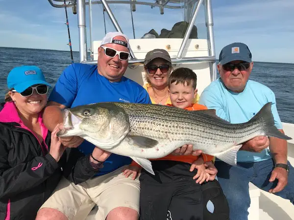 Hairball Charters