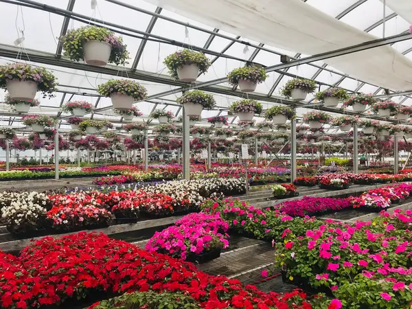 Hallock's U-Pick Farm & Greenhouse LLC, New Egypt, NJ
