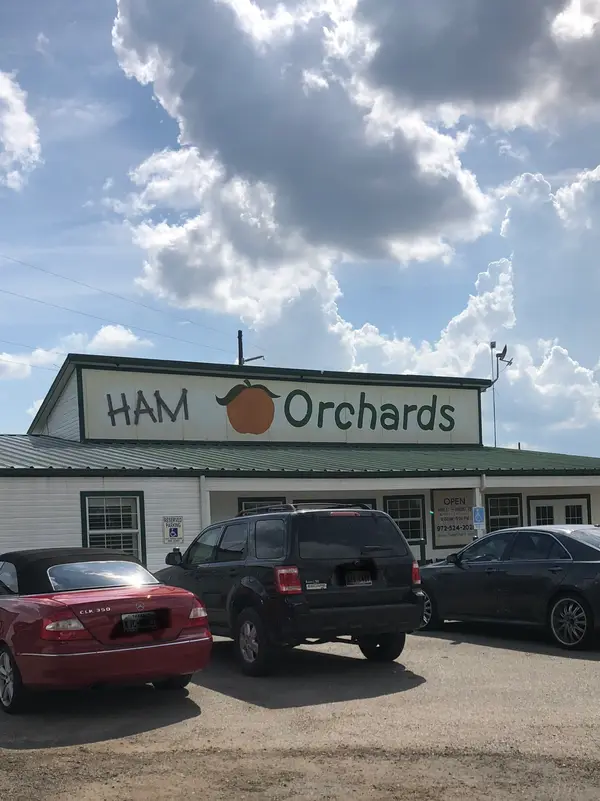 Ham Orchards, Terrell, TX