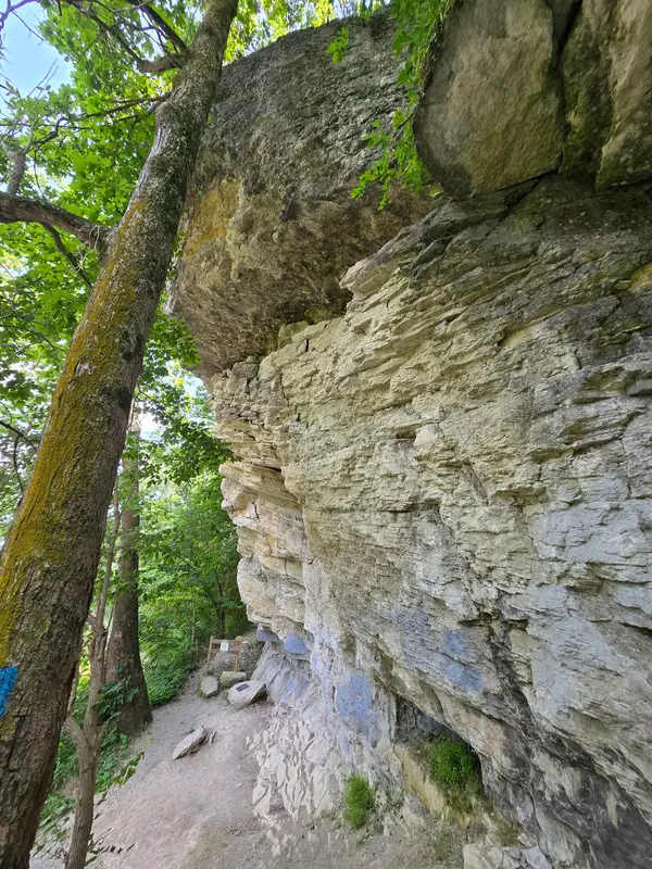 Hanging Rock National Natural Landmark - ACRES Land Trust