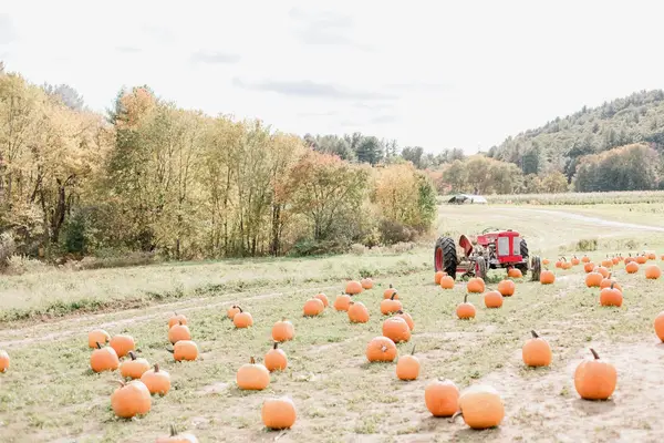 Hanson's Farm, Framingham, MA