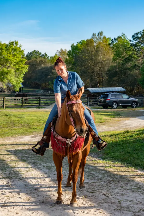 Happy Acres Ranch, photo 4
