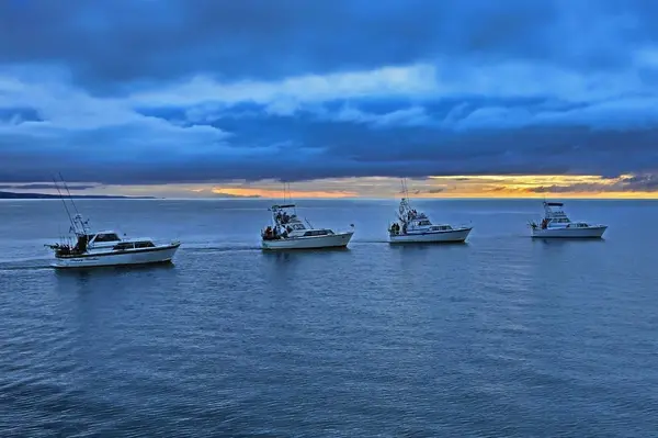 Happy Hooker Charters