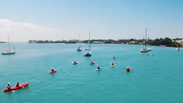 Happy Paddler Kayak Tours & EcoVentures