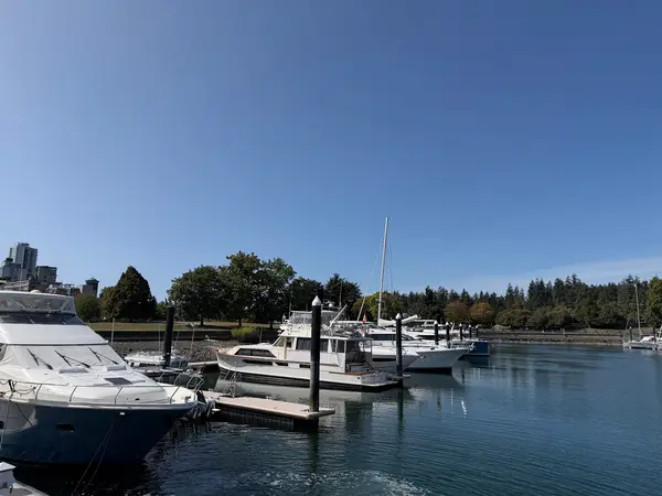 Harbour Cruises Ltd, photo 3