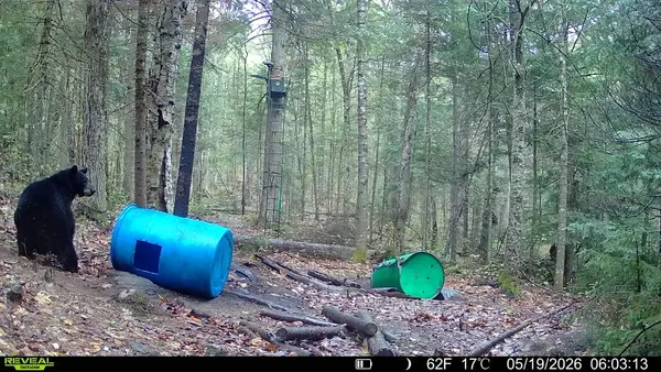 Hardwoods and Swamps Outfitters, photo 1