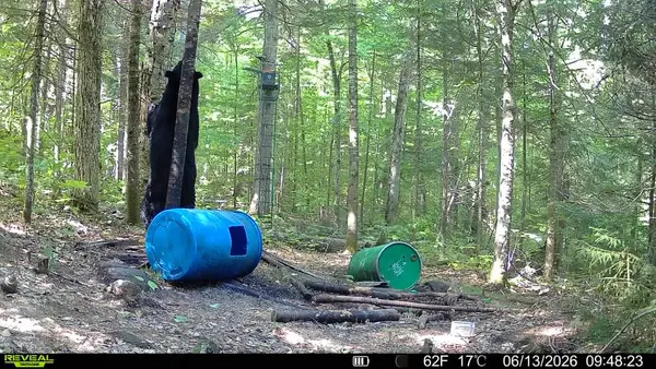 Hardwoods and Swamps Outfitters, photo 3