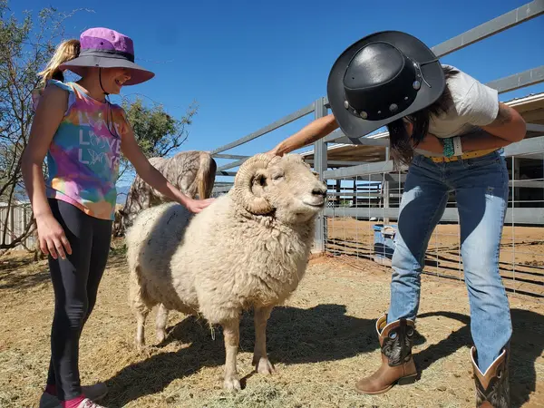 Harmony Acres Ranch, Cornville, AZ