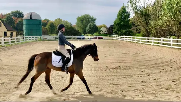 Harmony Horse Stables LLC
