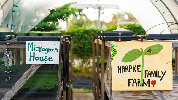 Harpke Family Farm, LLC, Davie, FL