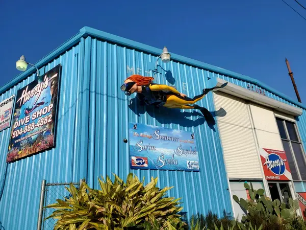 Harry's Dive Shop
