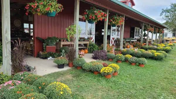 Harvestville Farm, Donnellson, IA