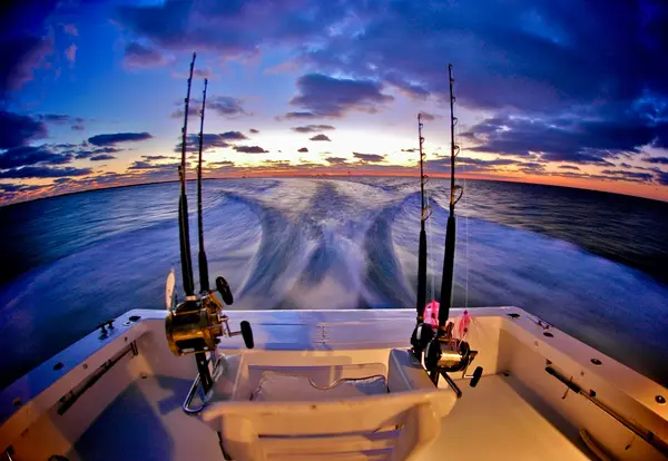 Hatteras Blue Charters