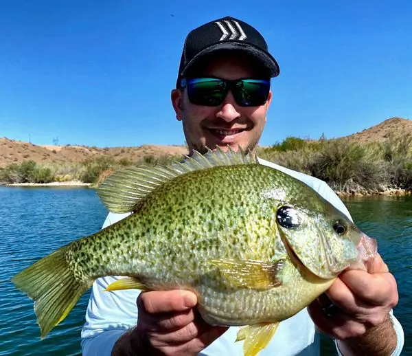 HavasuNetEm - Lake Havasu's most experienced fishing guide